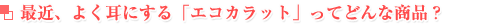 エコカラットって?